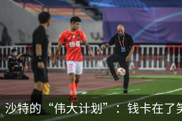 沙特的“伟大计划”：钱卡在了笑话里